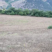 فروش زمین ۲هکتاری طالکوه گیلان ویژه مرغداری