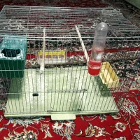 قفس بزرگ با لوازم و تجهیزات کامل