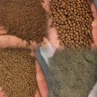 آرتمیا دافنی اسپرولینا کاتاپا میکروورم