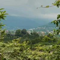 فروش-زمین-290-تجاری-متری-در-رامسر