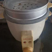 پلو پز برند سونی دو طبقه