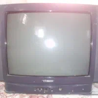 تلویزیون