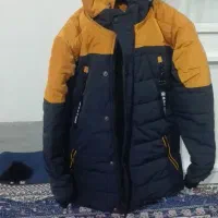 کت نو