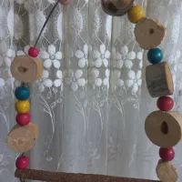 تاب پرنده