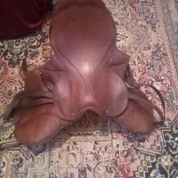 1 عدد زین پرشی