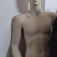 مانکن مردانه