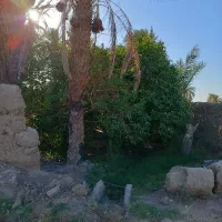 فروش باغ طبس گلشن روستای کریت زیبا
