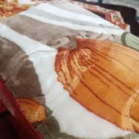 پتو نو|رختخواب، بالش، پتو|بهارستان, |دیوار