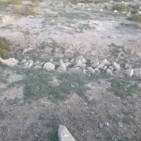 زمین-کلدوزخ-یک