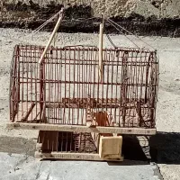 دوعدد قفس سایز بزرگ با یک عدد جفت تله|لوازم جانبی حیوانات|ایلام, |دیوار