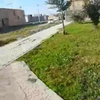 گمشده لطفا میدونید کجاست کمکم کنید