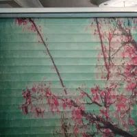 کرکره زبرا و حصیری