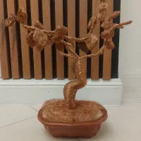 درخت بنسای مسی