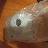 دوربین چاپ سریع|دوربین عکاسی و فیلم‌برداری|تهران, سازمان برنامه شمالی|دیوار