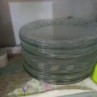 ۱۵ دانه بشقاب