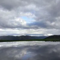 دنبال کار میگردم