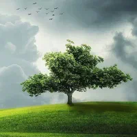 اجاره-5-هکتار-زمین-آبی