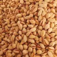 پسته احمد آقایی