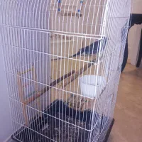 مینا با لوازم کامل