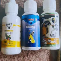 یک جفت|پرنده|اهواز, کمپلو جنوبی|دیوار