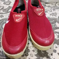 کفش نو|کیف، کفش، کمربند|مشهد, نوده|دیوار