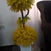 لوازم خانه|پرده، رانر، رومیزی|املش, |دیوار