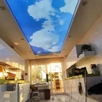 سقف کشسان (باریسول)