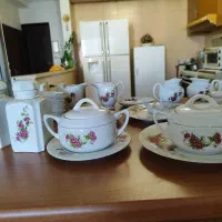 ظروف گل پنبه وگل سرخ