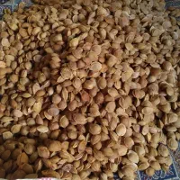 هسته زردآلو شیرین|خوردنی و آشامیدنی|تهران, امام زاده عبدالله|دیوار
