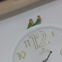 طوطی برزیلی