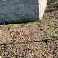 فروش-زمین-مسکونی-جعفرآباد