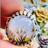 فروش تک درخت زیبا