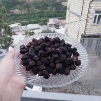 فروش گیلاس خشک