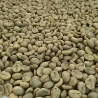 فروش دانه سبز قهوه اندونزی