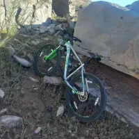 دوچرخه حرفه ای