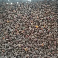 کشمش آفتابی امساله (یک دست درجه یک)|خوردنی و آشامیدنی|کرج, ساسانی (قلمستان)|دیوار