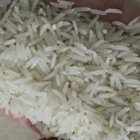 فروش برنج عالم سبز