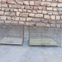 قفس پرنده
