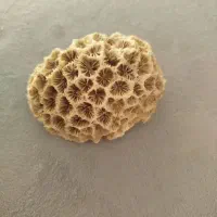 وسایل تزیینی و شخصی