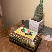 جعبه خاتم ممتاز