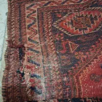 قالیچه دست باف قدیمی حدود ۶۰ سال|فرش|شیراز, قلعه نو|دیوار