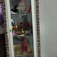 تی وی