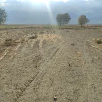 زمین1500متری جلوجادهحاجیآبادبروجرد|فروش زمین و ملک کلنگی|سیلاخور, |دیوار