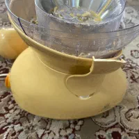 آب میوه گیری
