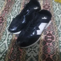 کفش دخترونه|کیف، کفش، کمربند|شیروان (خراسان), |دیوار