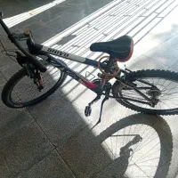 دوچرخه مارک viva سالم|دوچرخه، اسکیت، اسکوتر|کرج, مجتمع صنفی صنعتی|دیوار