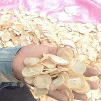 سیر و موسیر همدان|خوردنی و آشامیدنی|تهران, مطهری|دیوار