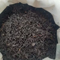 چای شمال کشور مستقیم بدون واسطه|خوردنی و آشامیدنی|اهواز, ۲۰۰۰واحدی|دیوار