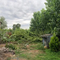 فروش ۱۹۸متر زمین جزیره دکتر بهشتی( قلم گوده)|فروش زمین و ملک کلنگی|بندر انزلی, قلم گوده|دیوار
