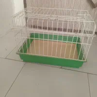 قفس خرگوش